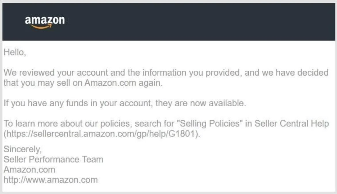 I will write amazon appeal letter plan of action suspension reinstatement