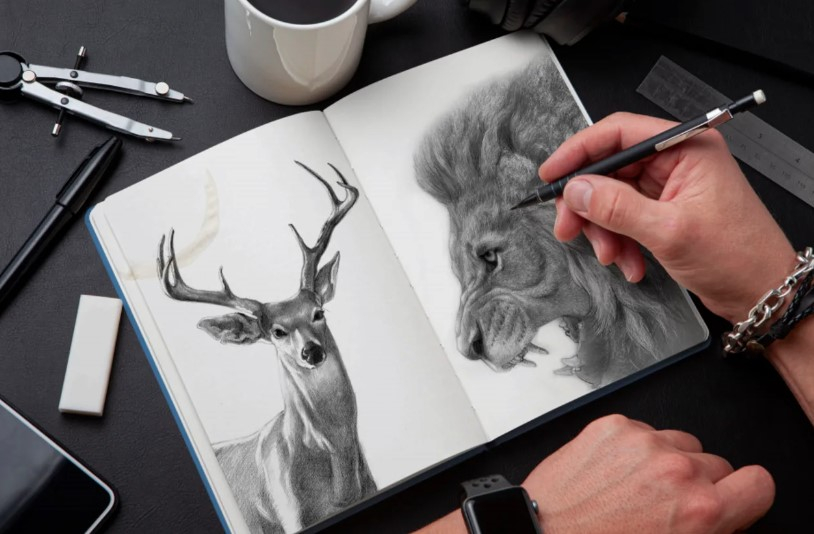 Draw pencil sketch portraits and illustrations