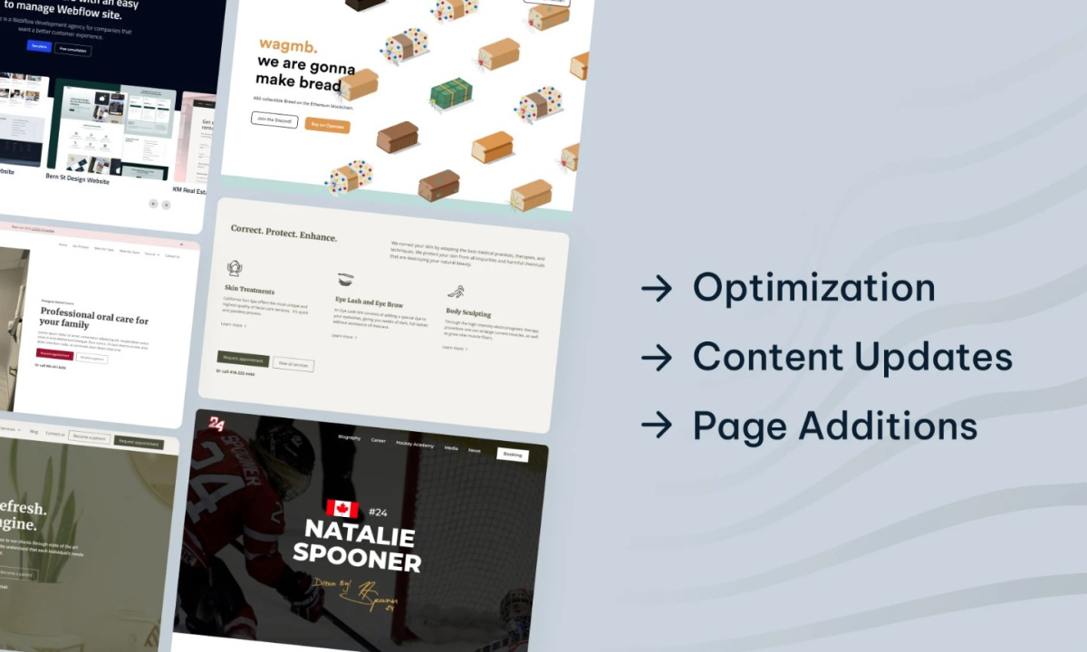 I will update your webflow website content, design or quick fixes