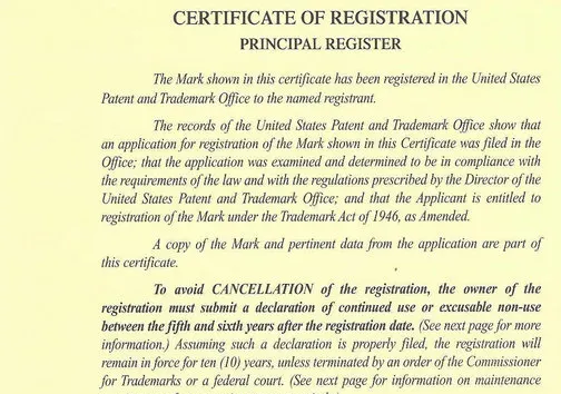 Conduct a professional trademark search
