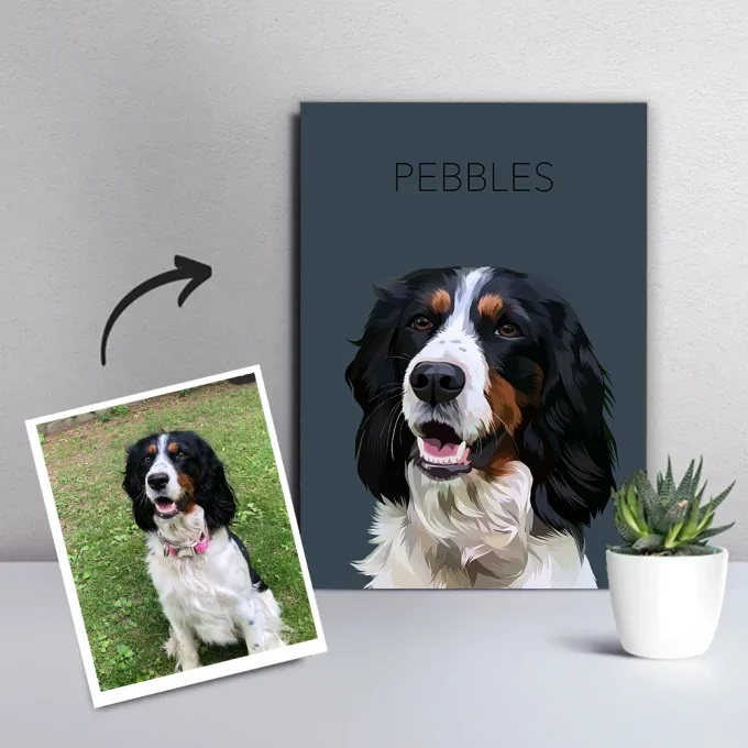 I can do custom cartoon pet