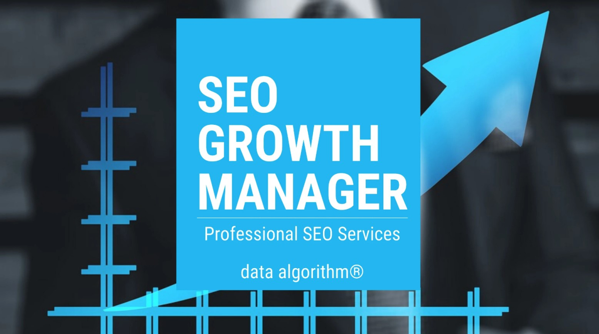 I will be your website SEO growth manager