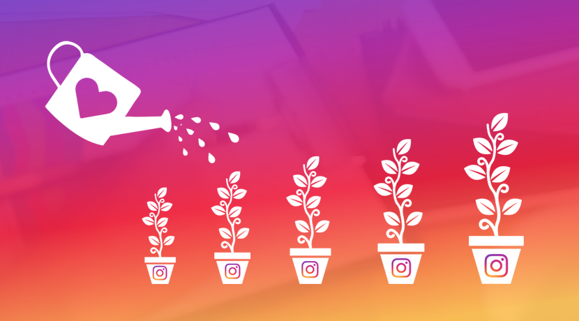 I will teach you how to get over 100k followers on instagram organically
