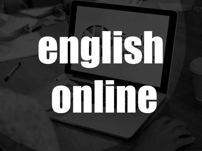 I will teach you english online and tailor the lesson to your needs