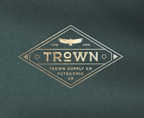 I will design a vintage, retro logo