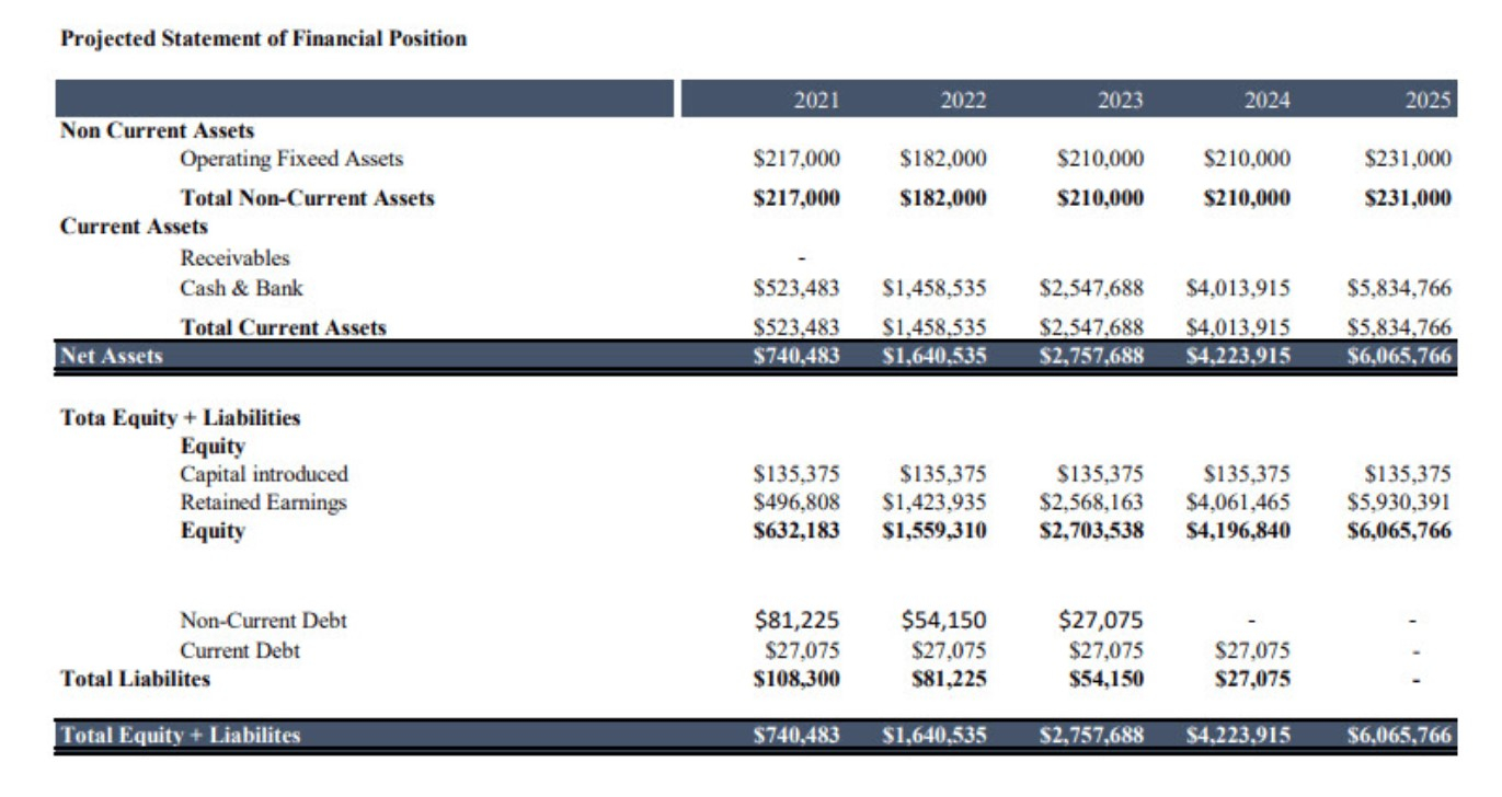 I will do financial forecast, cash flows and financial projections