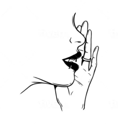 Create minimalist line art drawing and illustration