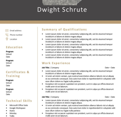 I will do clean attractive resume design CV design