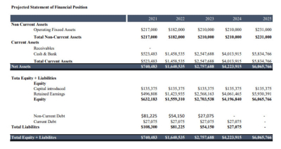 I will do financial forecast, cash flows and financial projections