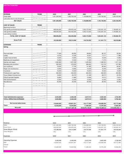 I will create an investors financial plan and model in one day