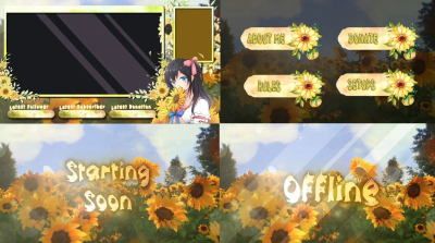I will create a professional twitch overlay stream package