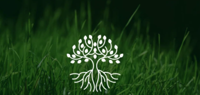 I can create a modern logo design for a business with copyrights