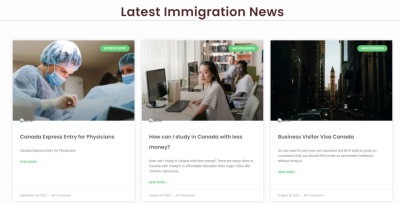 I will make a responsive website on the WordPress platform