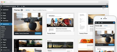 I will build a creative wordpress website or blog
