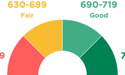 I will professionally repair your credit with advance method