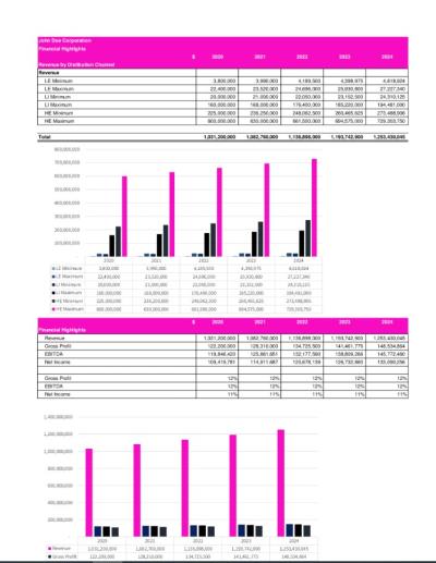 I will create an investors financial plan and model in one day