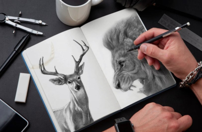 Draw pencil sketch portraits and illustrations