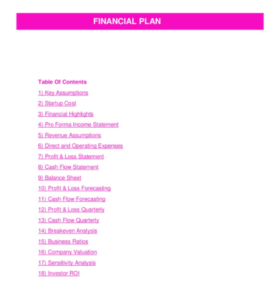 I will create an investors financial plan and model in one day