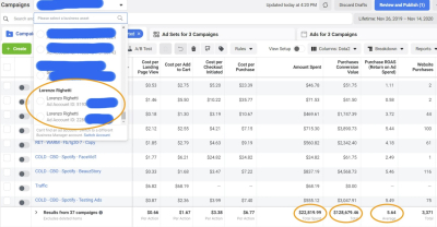 I will run your Facebook advertising