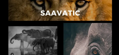 Create a stunning brand name and a proper brand positioning