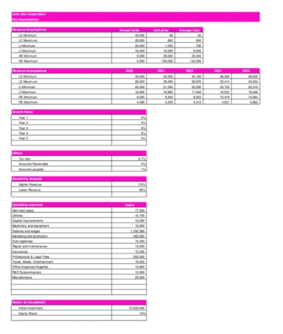 I will create an investors financial plan and model in one day