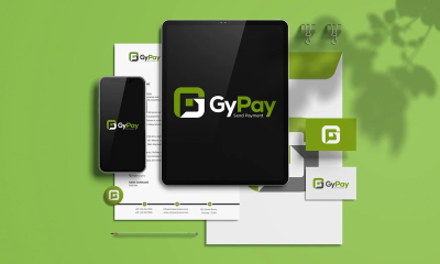 I can do modern logo brand identity guidelines