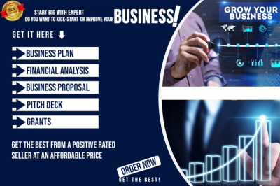 I will garanted investor, startup business plan, writer, pitch deck, proposal, research