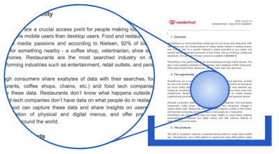 I will craft a business plan with marketing and financial model