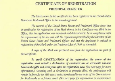 Conduct a professional trademark search