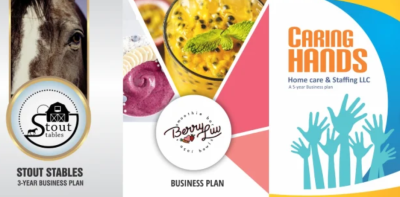 Author of an investment or credit startup business plan or business proposal