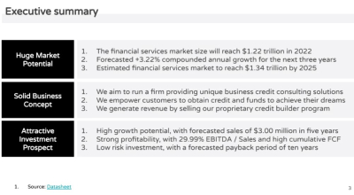 I will craft a business plan with marketing and financial model