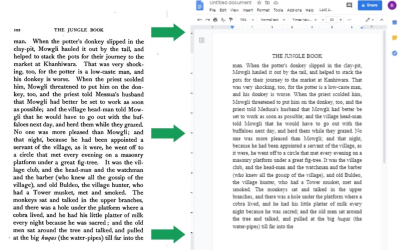 I will convert pdf, document, jpeg to word or google docs