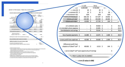 I will craft a business plan with marketing and financial model
