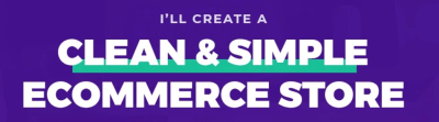 I will make you professional online store
