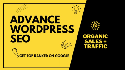 I will fix Wordpress SEO issues