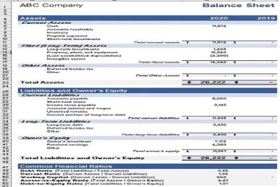 Provide financial statements, ratio analysis and accounting