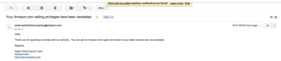 I will write amazon appeal letter plan of action suspension reinstatement