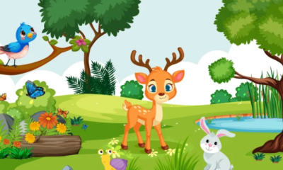 I can create 2d animated videos for kids