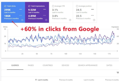 I will 1 on 1 zoom SEO audit and QA Wordpress