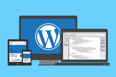 I will create a professional wordpress website design