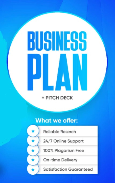 I will develop a perfect investor ready, startup business plan