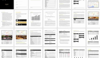 I will prepare ready business plan for invest