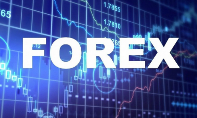 I can help you with crypto trading, forex or day trades