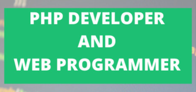 Web programmer in php, wordpress, e-commerce developer