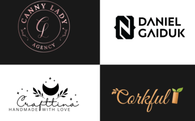 I will develop a logo for business