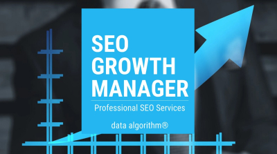 I will be your website SEO growth manager