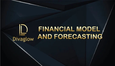 I will create investors ready financial plan and model