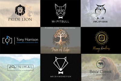 I will create a company logo design