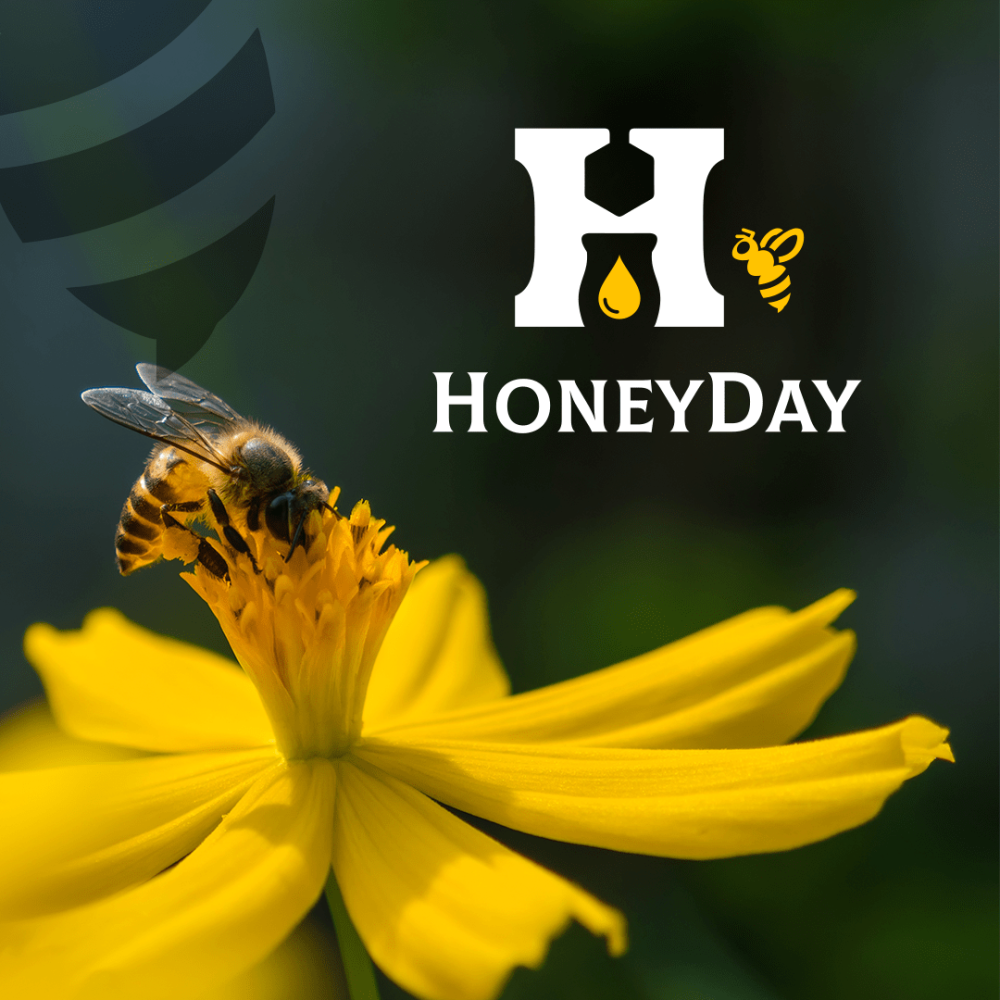 HoneyDay