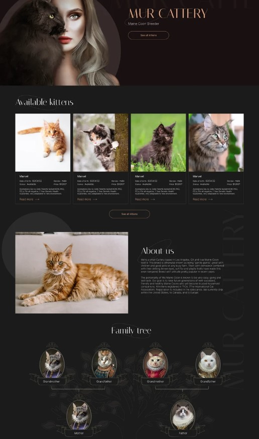 Mur Cattery